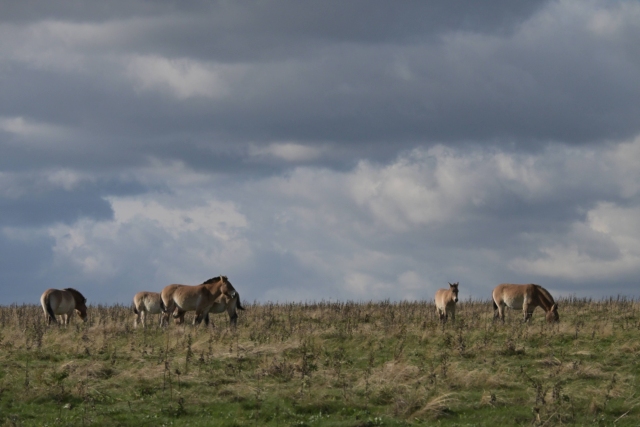 2025.10.26 Dívčí Hrady