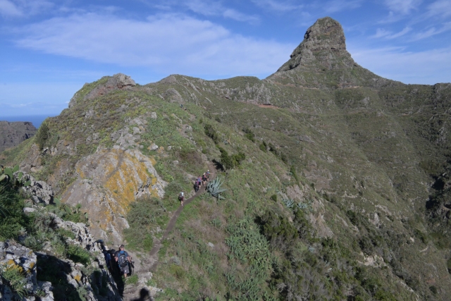 2025.11.11 Tenerife TenoAlto-Agama