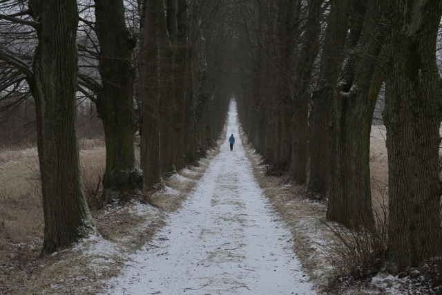 2025.12.29 Jindřichovice