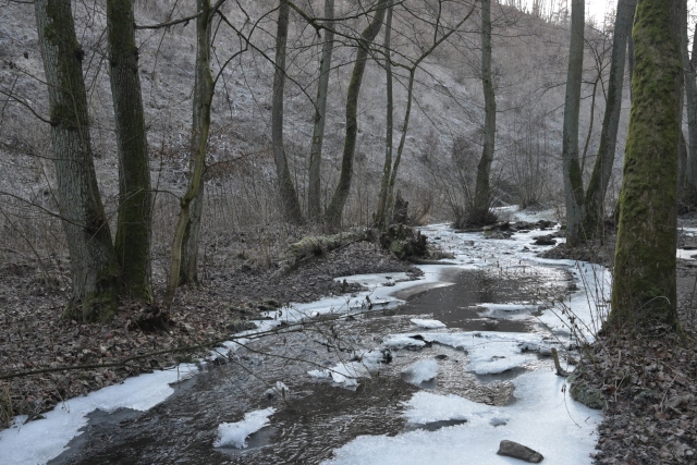 2025.12.27 Radotínské údolí