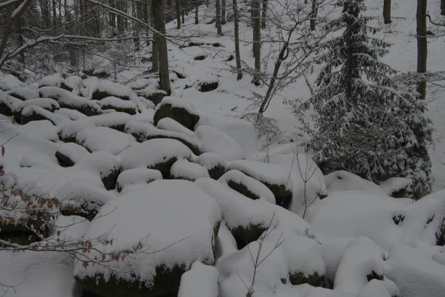 2025.01.11 Vlčí skály